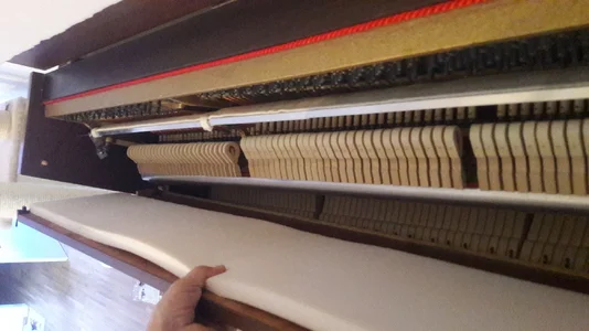 20180617_195924.webp 20180617_195924.webp