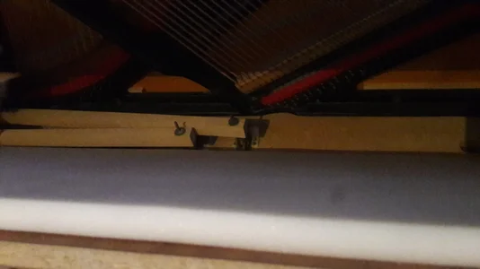 20180617_200001.webp 20180617_200001.webp