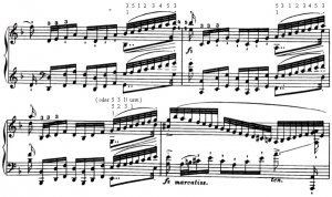 Bach-Busoni Fingersatzvorschlag.jpg