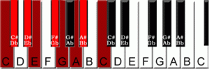 poly-scale-c-kb.gif