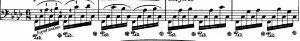 Chopin linke Hand 1.jpg
