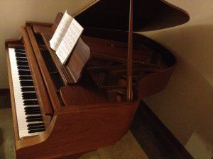 IMG_4133.JPG