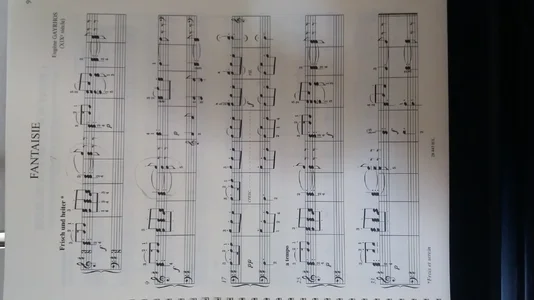 Fantaisie gayrhos.webp