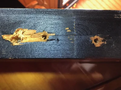 IMG_3157.webp IMG_3157.webp