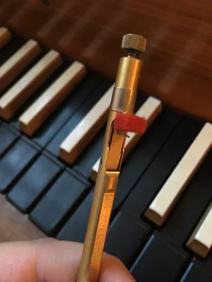 Springer mit Kiel.webp Springer mit Kiel.webp