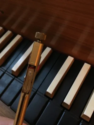 Springer Rückseite.webp Springer Rückseite.webp