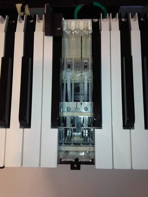 IMG_20190122_160508.webp IMG_20190122_160508.webp