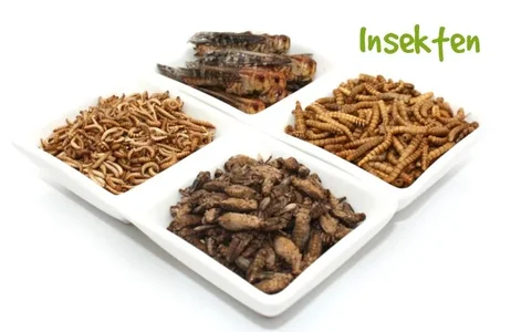 4er Schale fuer Kategorienbild ueberarbeitet.webp