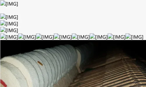 Bildschirmfoto 2019-03-23 um 07.33.16.webp