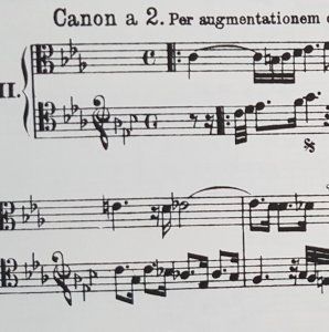 20190507_155003.jpg