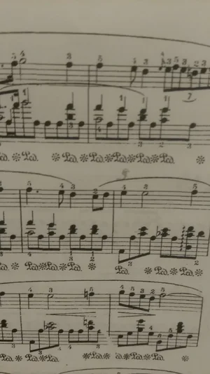 IMG_20190709_224624.webp IMG_20190709_224624.webp