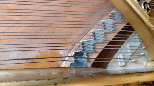 Epoxy gereinigt.webp