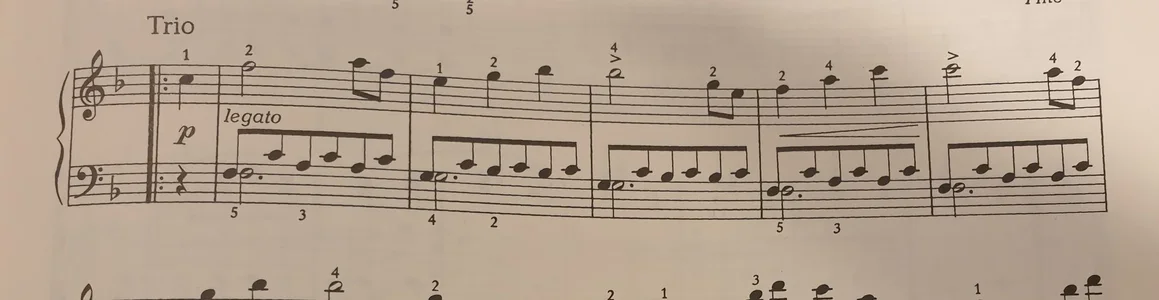 20191111_175801.webp 20191111_175801.webp