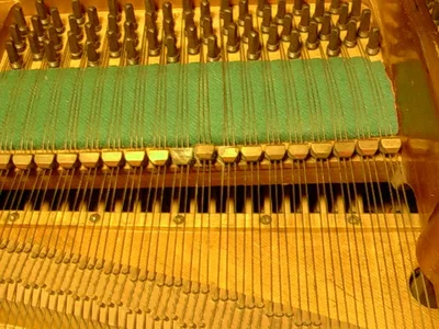 Schaden rückansicht.webp