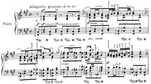 Schubert-Godowski Vorschläge.jpg