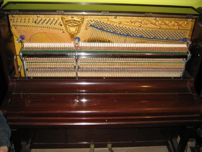 IMG_1087.webp IMG_1087.webp