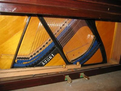 IMG_1088.webp IMG_1088.webp