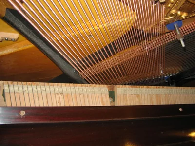 IMG_1093.webp IMG_1093.webp