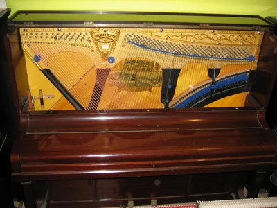 IMG_1091-New.webp IMG_1091-New.webp