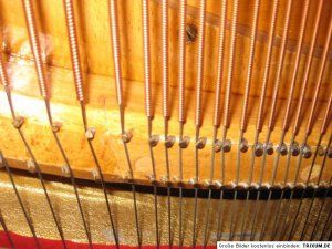 IVXf49HZ1MY5131529228625S.jpg
