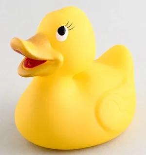 Quietscheentchen.webp Quietscheentchen.webp