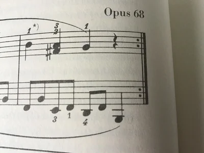 image.webp image.webp