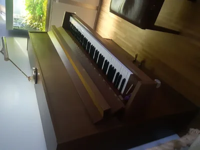 20200927_183404.webp 20200927_183404.webp