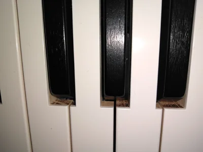 IMG_20201006_124531.webp IMG_20201006_124531.webp