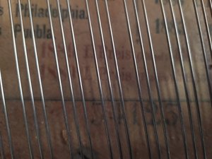 IMG_20201012_104459.jpg