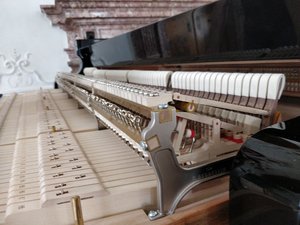 Bechstein-Action.jpg