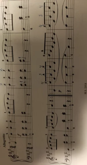 deutscher Tanz 1.webp