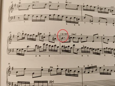 7 in e-Moll Gruppetto.webp