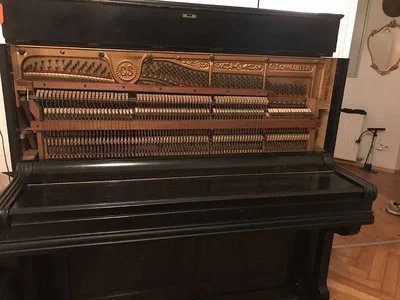 367_1878911829 (1).webp