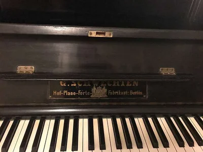 367_-499715967 (1).webp