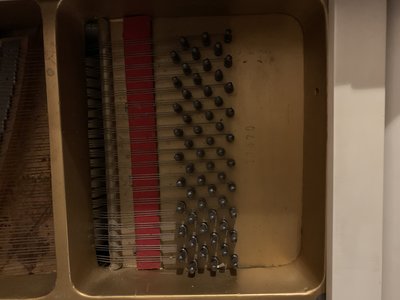 E5E29C3F-6050-4585-817F-BA27303230A8.jpeg