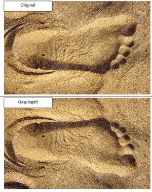 Unbenannt.webp Unbenannt.webp