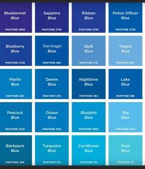 pantone_1.webp