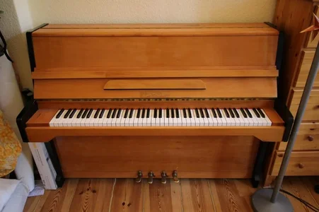 c310879a6b34719-77221e7ba6a7497.webp c310879a6b34719-77221e7ba6a7497.webp