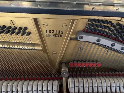 1615901288802.jpeg 1615901288802.jpeg