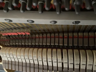 1615960862609.webp 1615960862609.webp