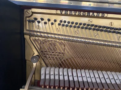 1615984427554.jpeg 1615984427554.jpeg