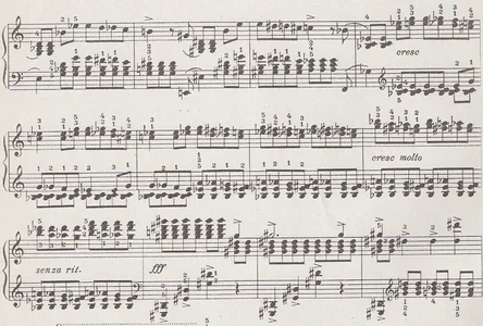 Suggestion leicht 1.webp