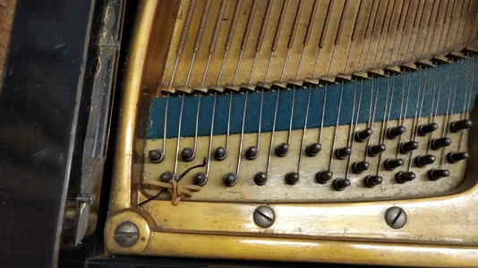 Stimmstock+Basssaiten1.jpg Stimmstock+Basssaiten1.jpg