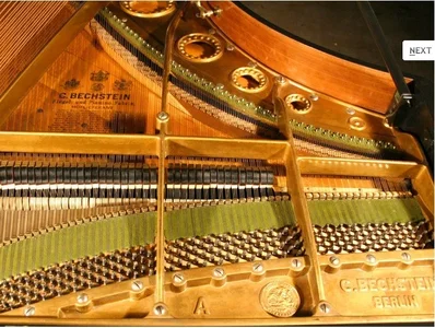BechsteinAPlatteDiskant.webp