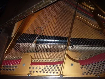 Doppelkreuzsaiter1.webp Doppelkreuzsaiter1.webp