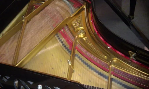 IMAG0301.webp IMAG0301.webp