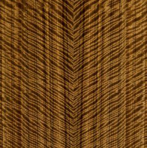 queensland_walnut_riegel.jpg