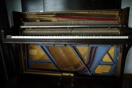 Schimmel-Capriccio-Geradsaiter.webp Schimmel-Capriccio-Geradsaiter.webp