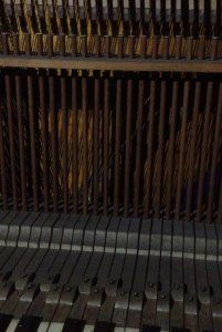 IMG_1794.jpg IMG_1794.jpg