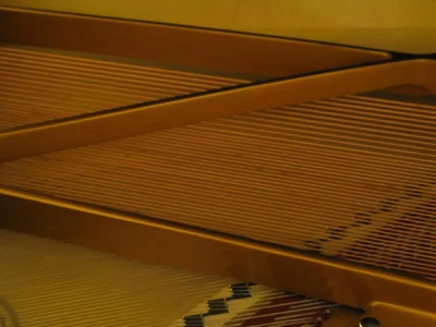 saiten.webp saiten.webp